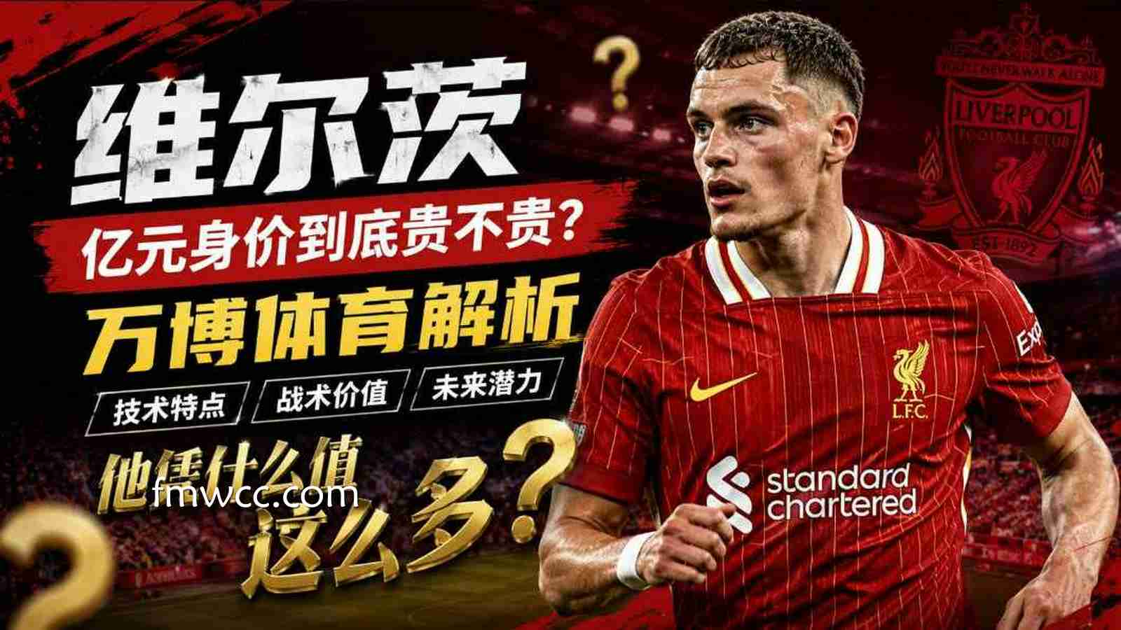 万博体育解析维尔茨：亿元身价到底贵不贵？