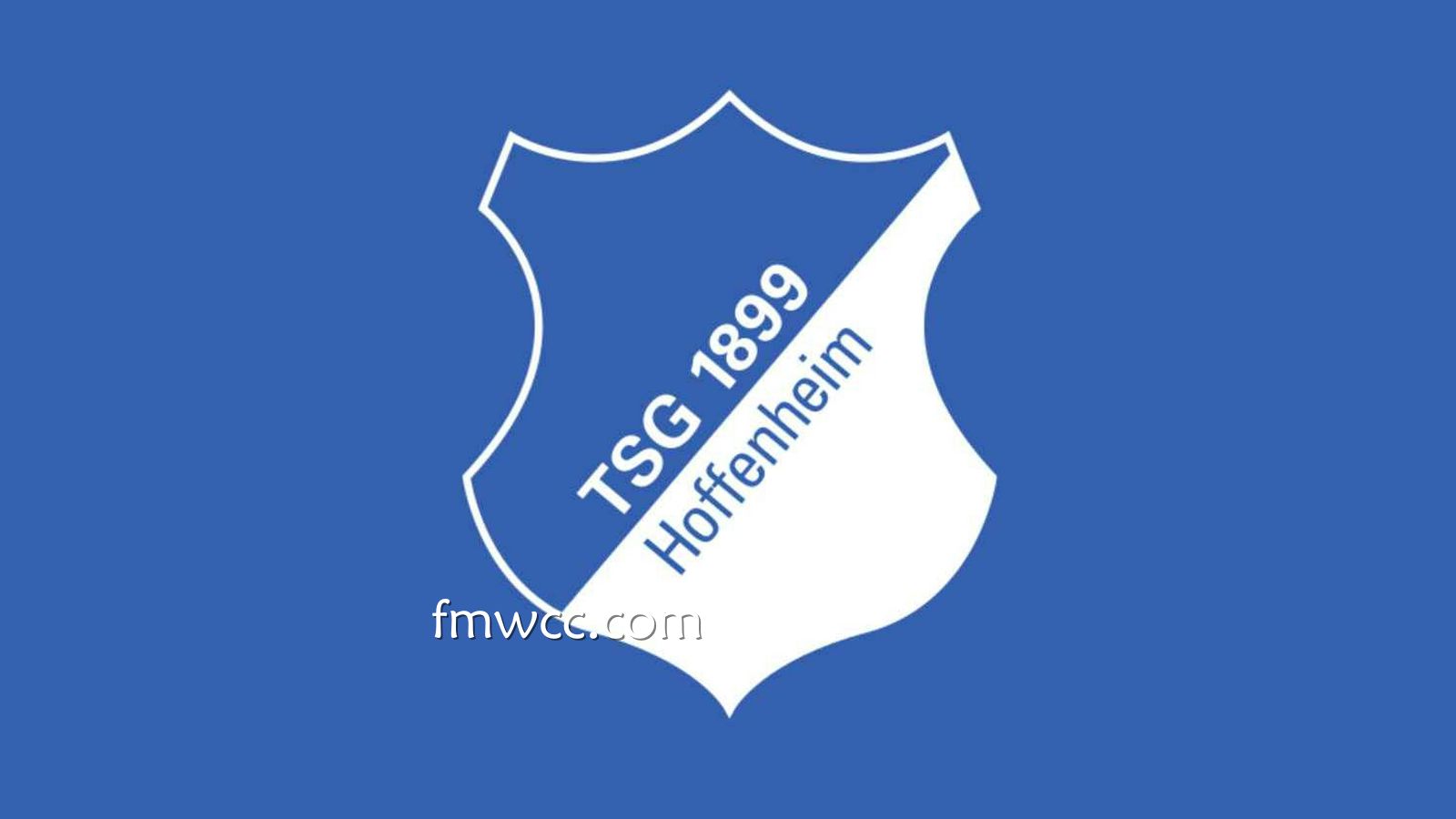 万博体育德甲投注攻略：霍芬海姆足球俱乐部为何总出大球