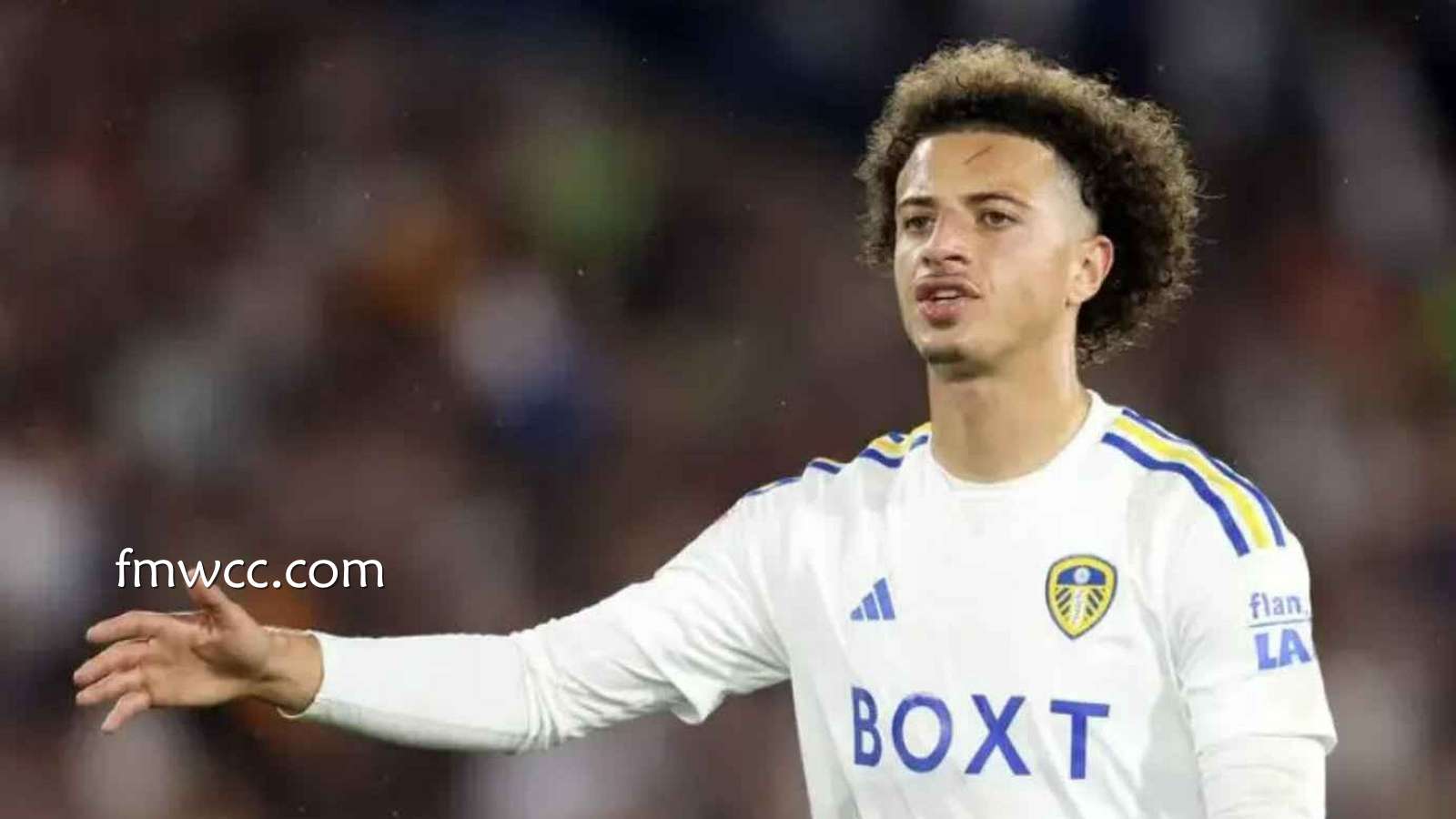 万博体育聚焦英超利兹联：为什么伊桑·阿姆帕杜不可替代？